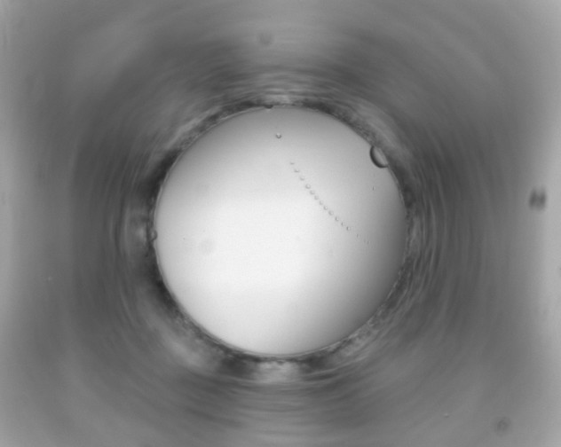 X0000091850363200709050940