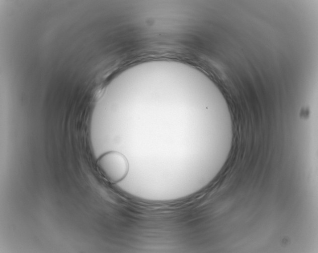 X0000091850364200709050940