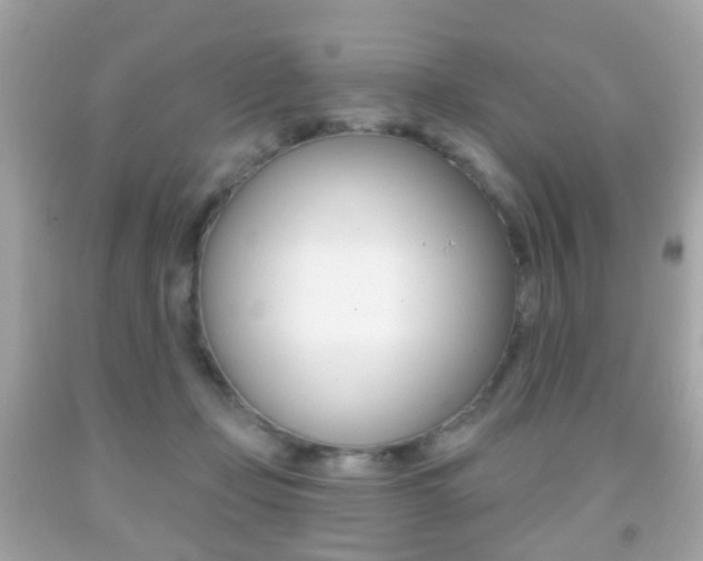 X0000091850365200709050940