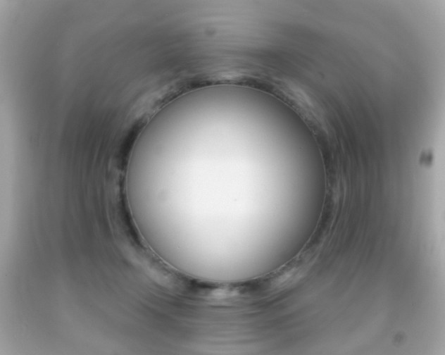 X0000091850366200709050940