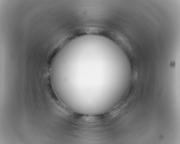 X0000091850367200709050940