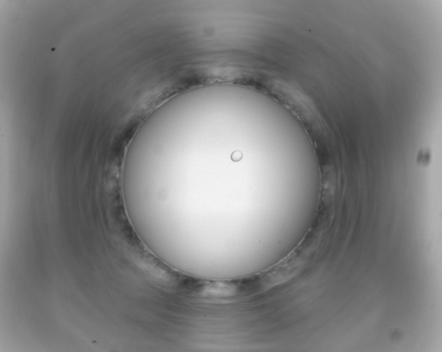 X0000091850369200709050940