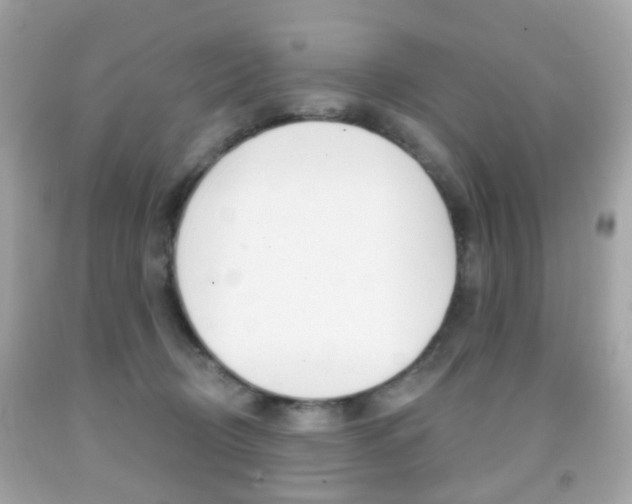 X0000091850370200709050940