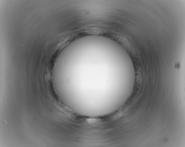 X0000091850371200709050940