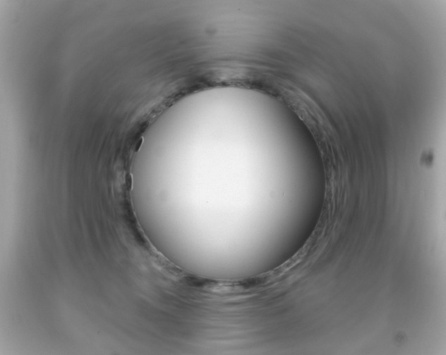X0000091850372200709050940