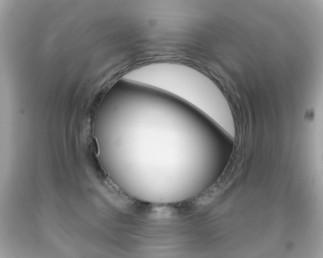X0000091850376200709050940