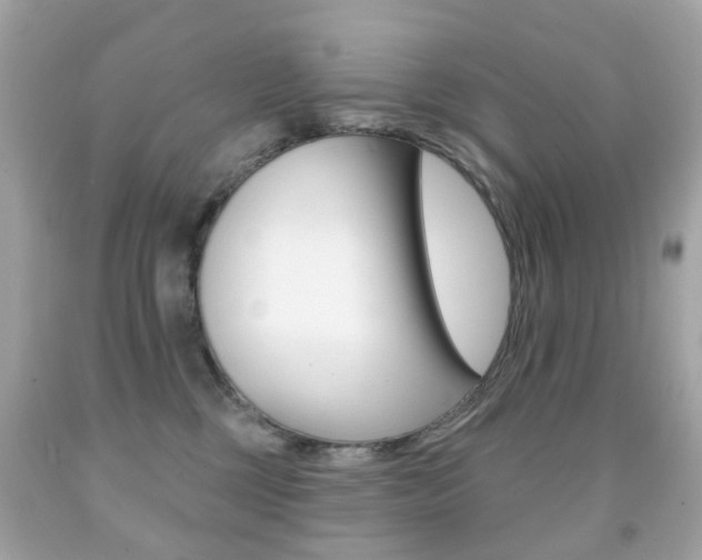 X0000091850377200709050940