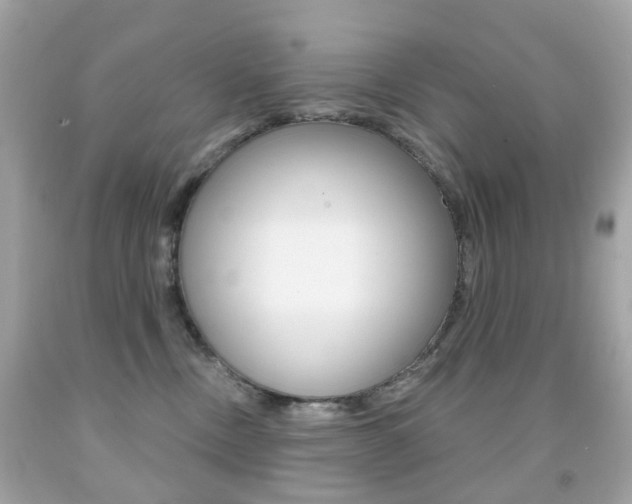 X0000091850378200709050940