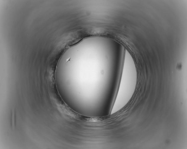 X0000091850380200709050940