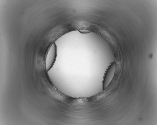 X0000091850381200709050940