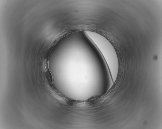 X0000091850383200709050940