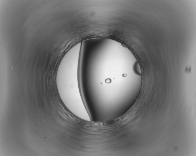 X0000091850384200709050940