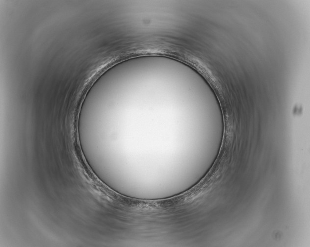 X0000091850386200709050940