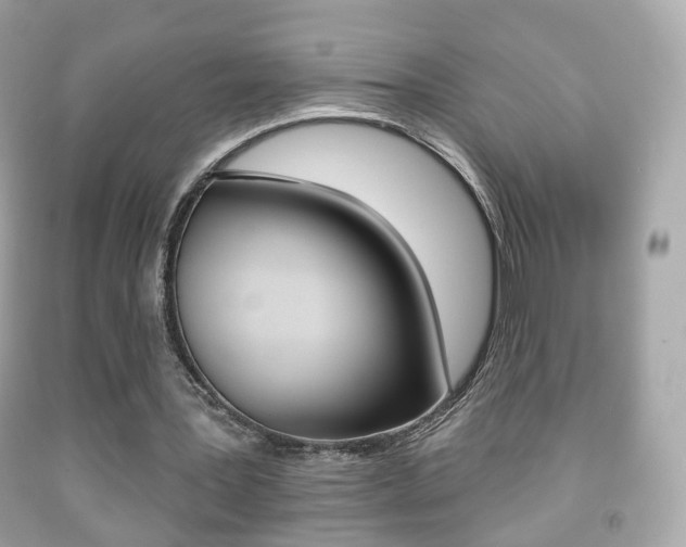 X0000091850387200709050940