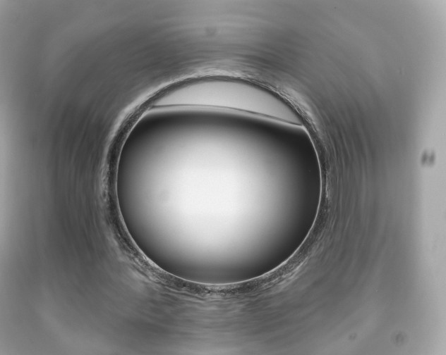 X0000091850388200709050940