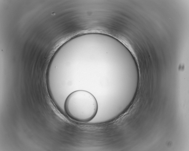 X0000091850389200709050940