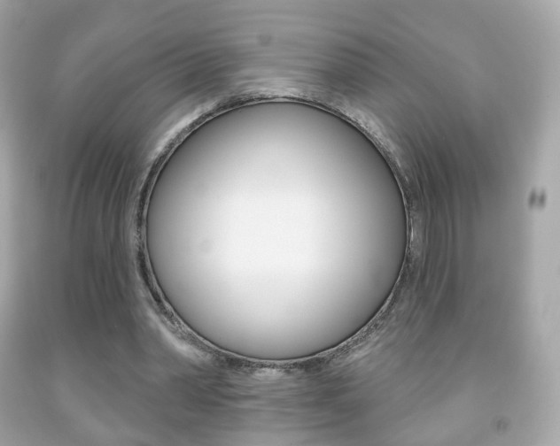 X0000091850390200709050940