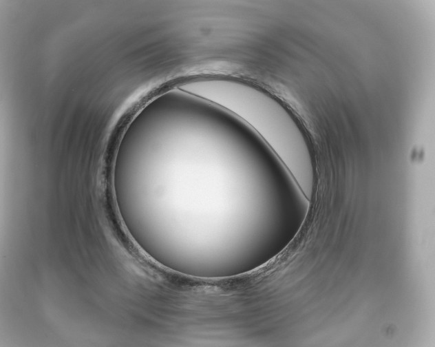 X0000091850392200709050940