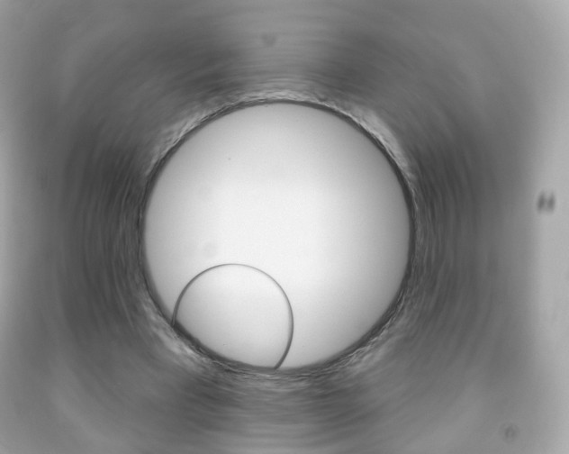 X0000091850393200709050940