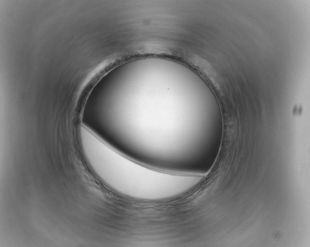 X0000091850395200709050940