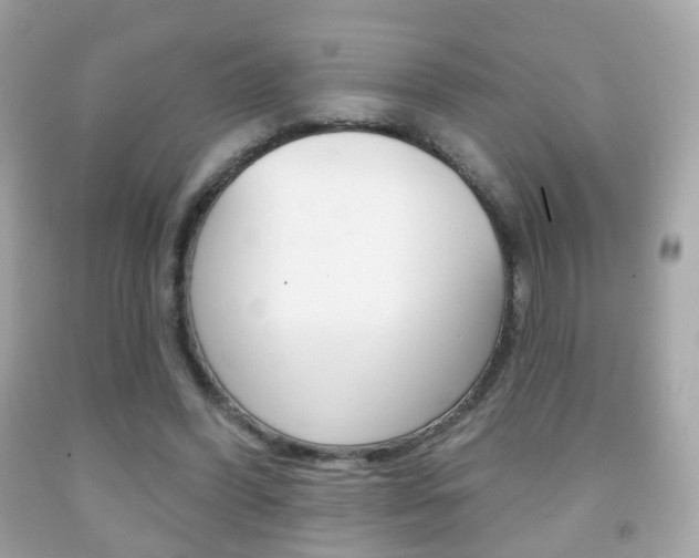 X0000091850396200709050940