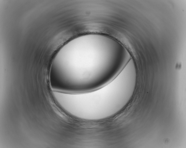 X0000091850397200709050940