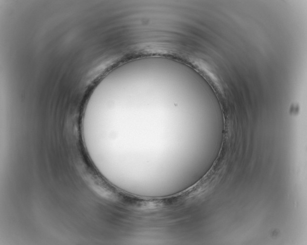 X0000091850398200709050940