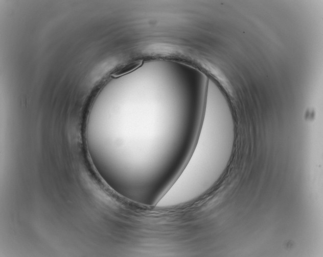 X0000091850399200709050940