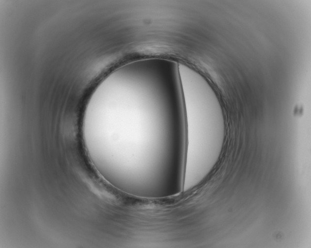 X0000091850400200709050940