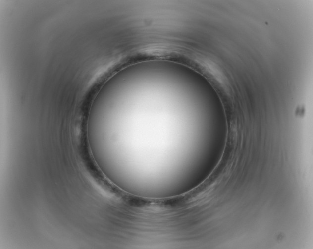 X0000091850404200709050939