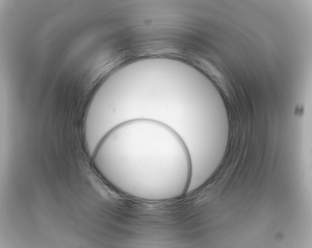 X0000091850405200709050939