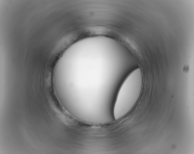 X0000091850406200709050939
