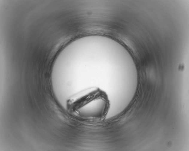 X0000091850407200709050939