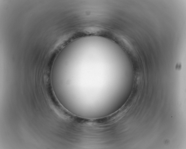 X0000091850408200709050939
