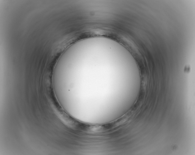 X0000091850410200709050939