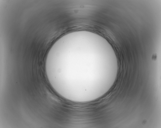 X0000091850412200709050939