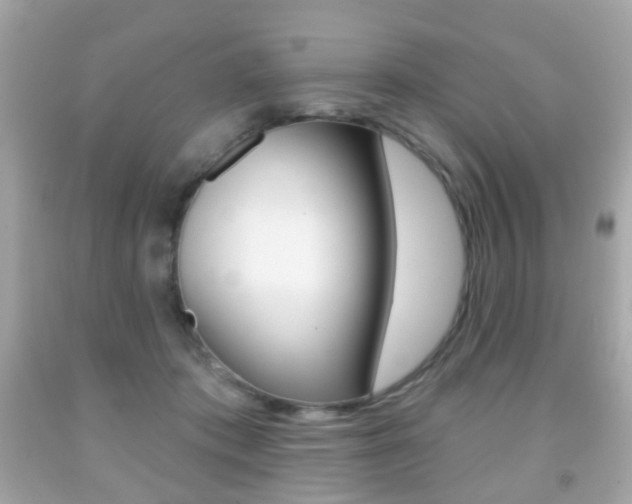 X0000091850413200709050939