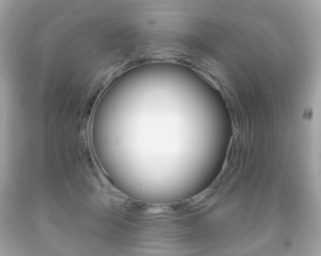 X0000091850415200709050939