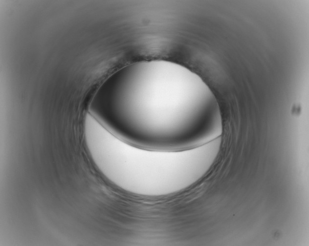 X0000091850416200709050939