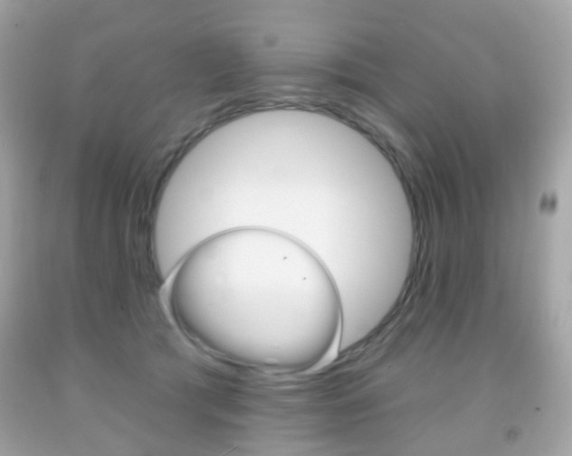 X0000091850417200709050939