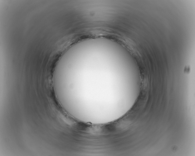 X0000091850418200709050939