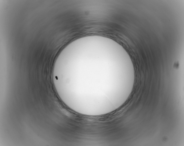X0000091850420200709050939