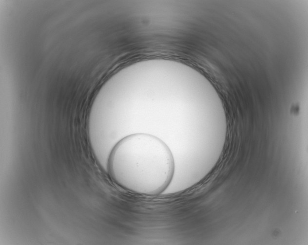 X0000091850421200709050939