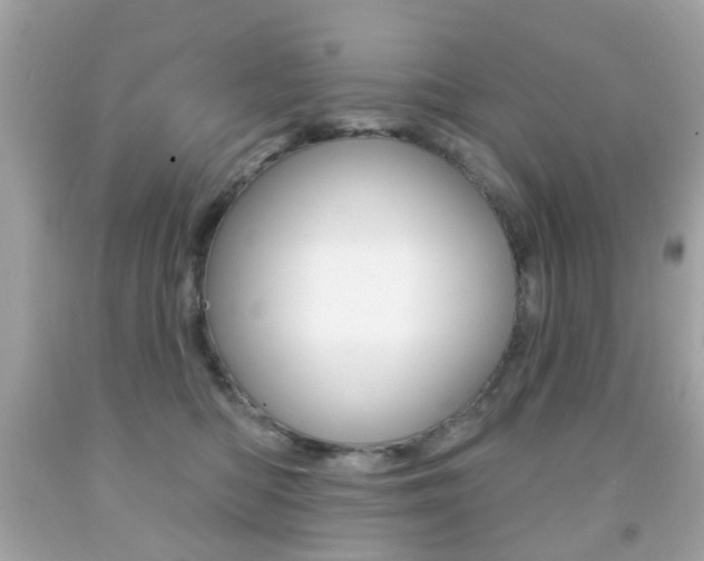 X0000091850422200709050939