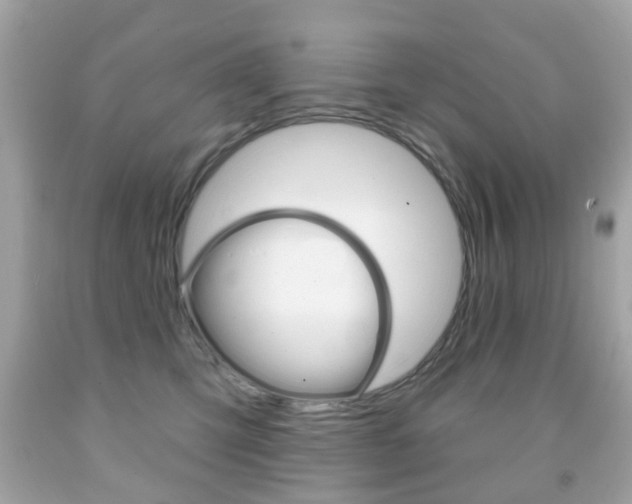 X0000091850423200709050939