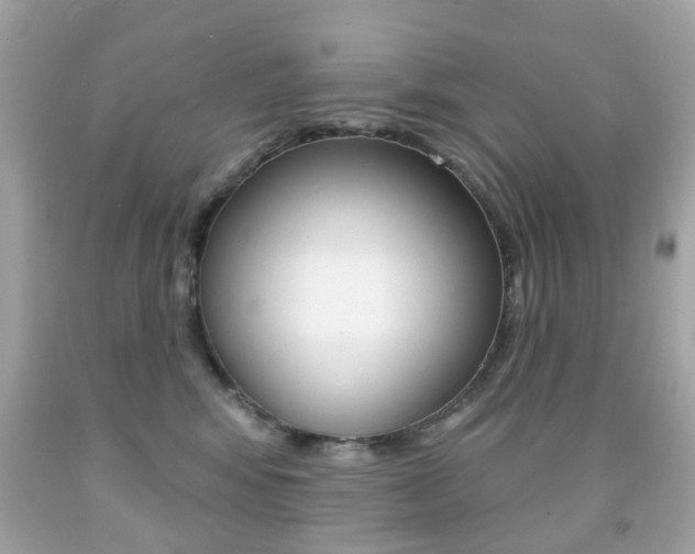 X0000091850424200709050939