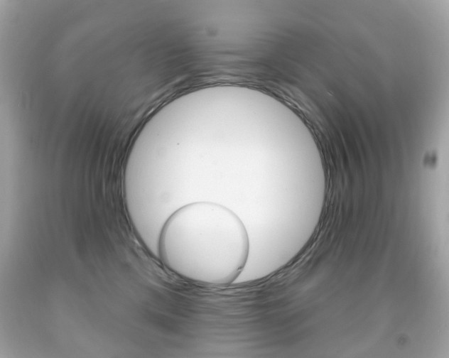 X0000091850425200709050939