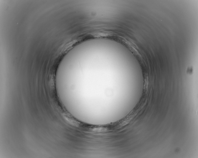 X0000091850426200709050939