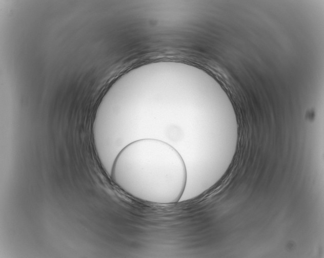 X0000091850429200709050939