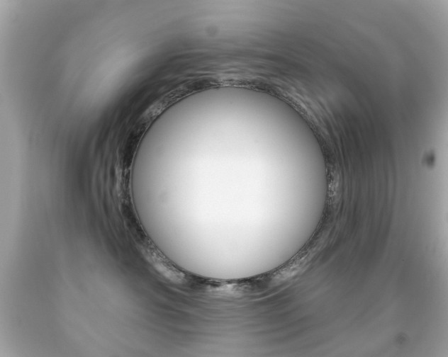 X0000091850430200709050939